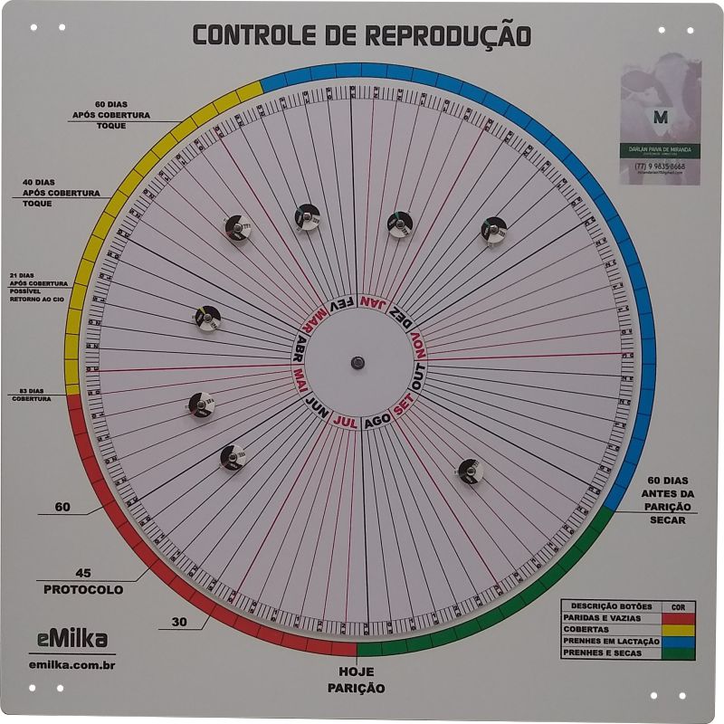 roda da reprodução para controle de gado de leite