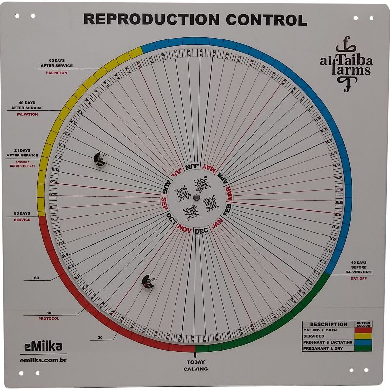 roda da reprodução para controle de gado de leite